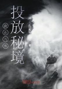 探探猫之飞天萌猫