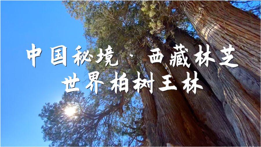 蓝色微笑方块选关版