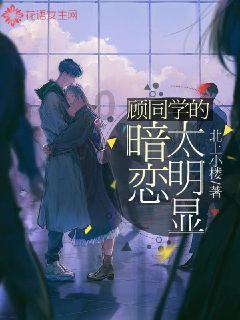 热带天堂找不同