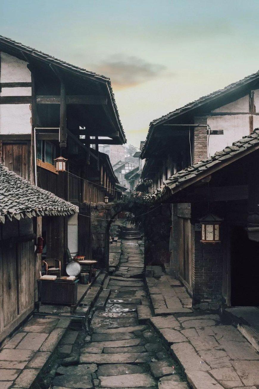 爱吃的鱼